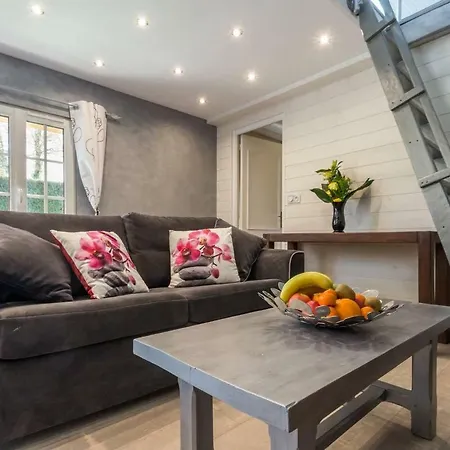 Les Hortensias Le Fournet