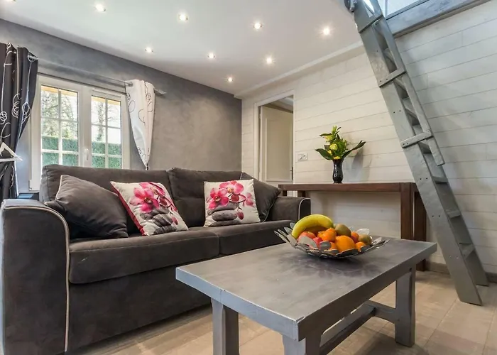 Les Hortensias Le Fournet