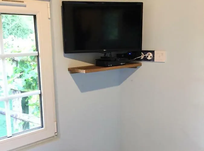 Les Hortensias Le Fournet