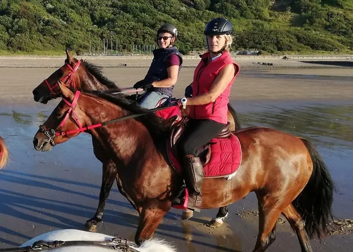 Holiday home Les Hortensias